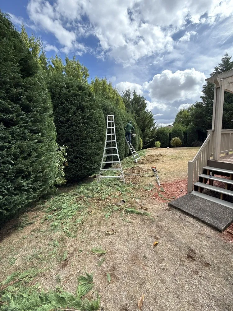 Trusted garden landscaping experts serving Aurora, OR - Cony's Landscape Maintenance