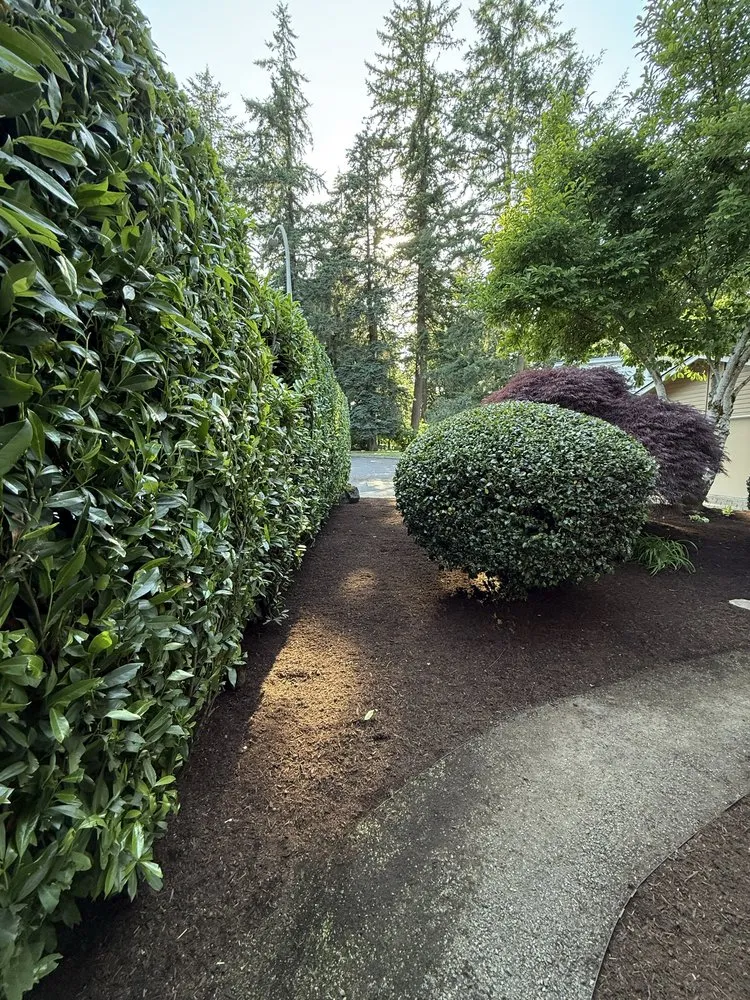 Top-rated outdoor landscaping in Aurora, OR - Cony's Landscape Maintenance