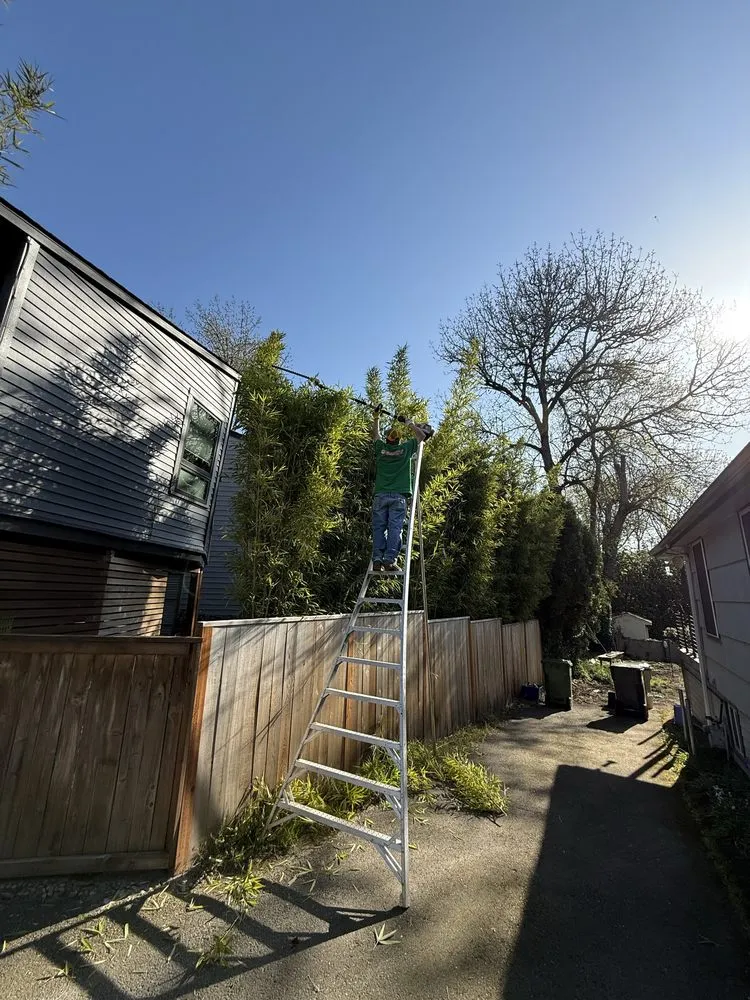 Top-rated lawn care service in Aurora, OR - Cony's Landscape Maintenance