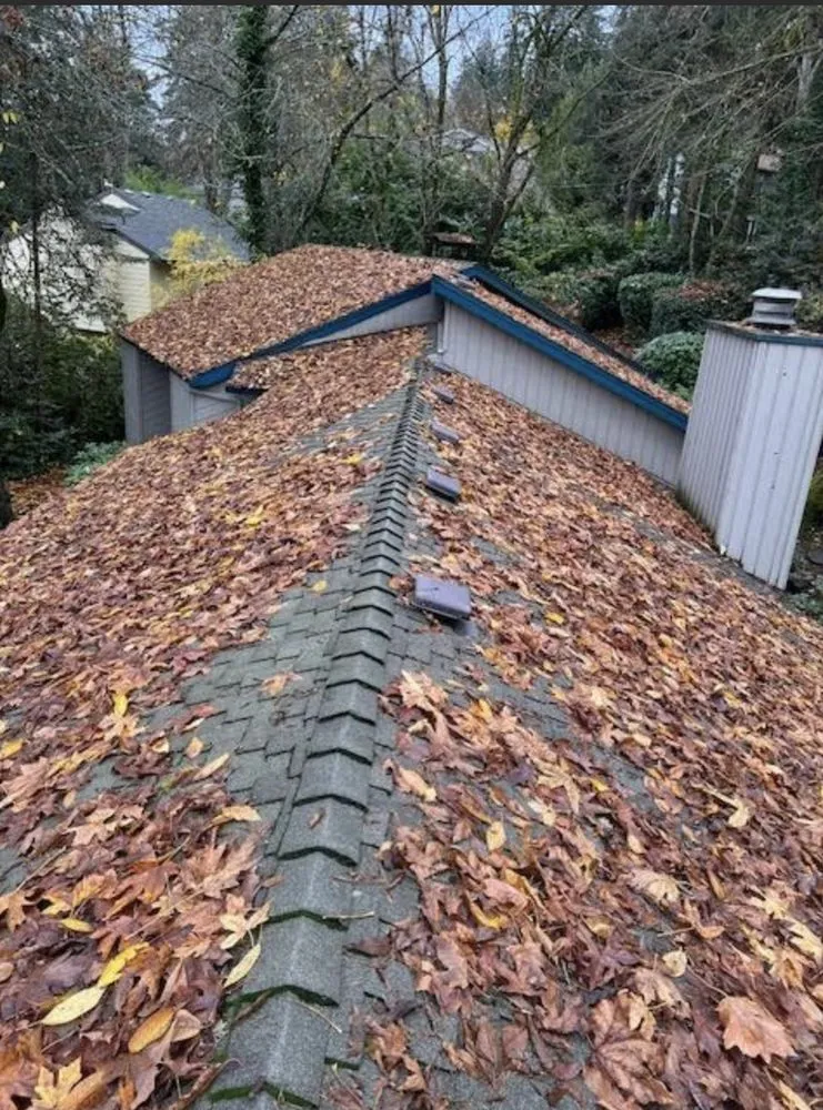 Reliable yard cleanup service experts serving Aurora, OR - Cony's Landscape Maintenance