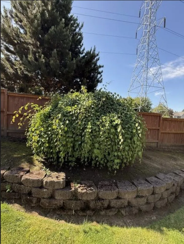 Reliable garden landscaping near you across Aurora, OR - Cony's Landscape Maintenance