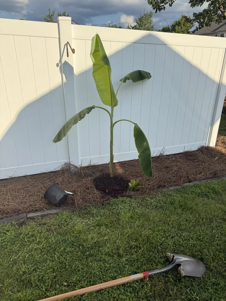 Reliable garden landscaping near you in Charlotte, NC by Coo Breeze