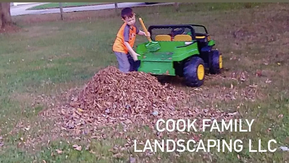 Custom yard maintenance for year-round maintenance in Elyria, OH by Cook Family Landscaping