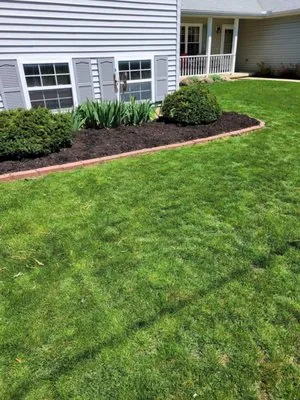 Cook Family Landscaping Logo