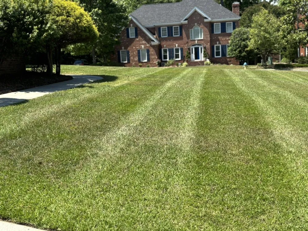 Expert yard maintenance experts serving Henderson, NC - Cook Landscaping & Hauling