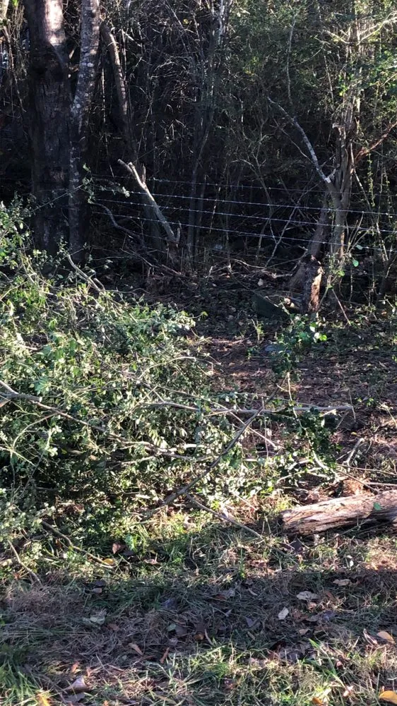 Trusted landscape installation experts serving Henderson, NC - Cook Landscaping & Hauling