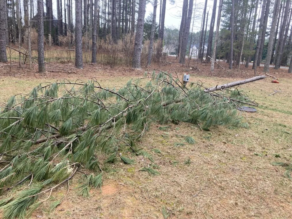 Professional lawn care service in Henderson, NC - Cook Landscaping & Hauling