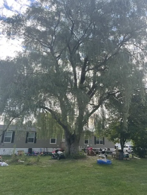 Trusted landscape installation in Honeoye Falls, NY by Cook Outdoor Contracting