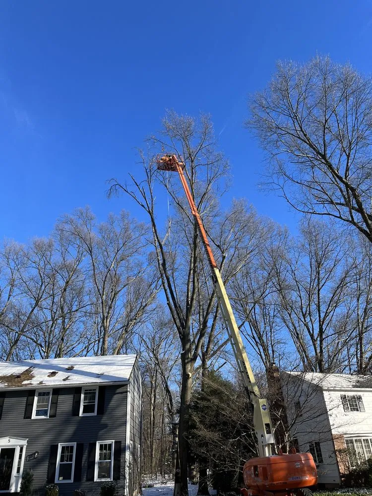 Local garden landscaping in Honeoye Falls, NY by Cook Outdoor Contracting