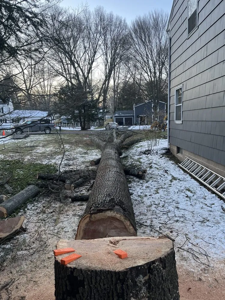 Affordable residential landscaping in Honeoye Falls, NY - Cook Outdoor Contracting