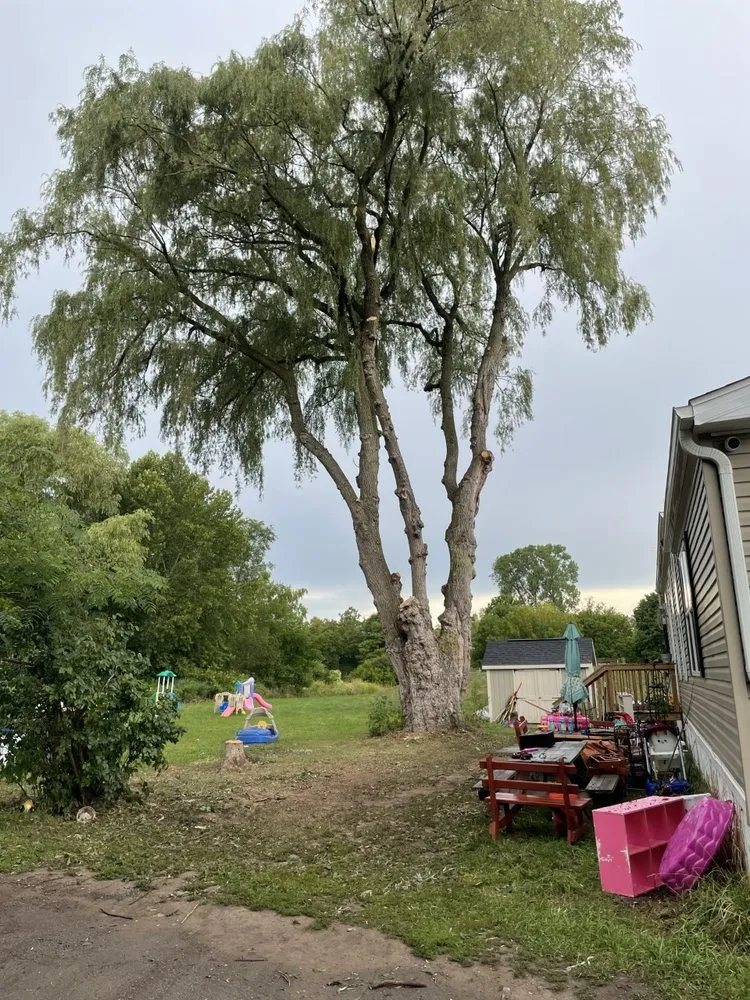 Local landscaping services experts serving Honeoye Falls, NY - Cook Outdoor Contracting