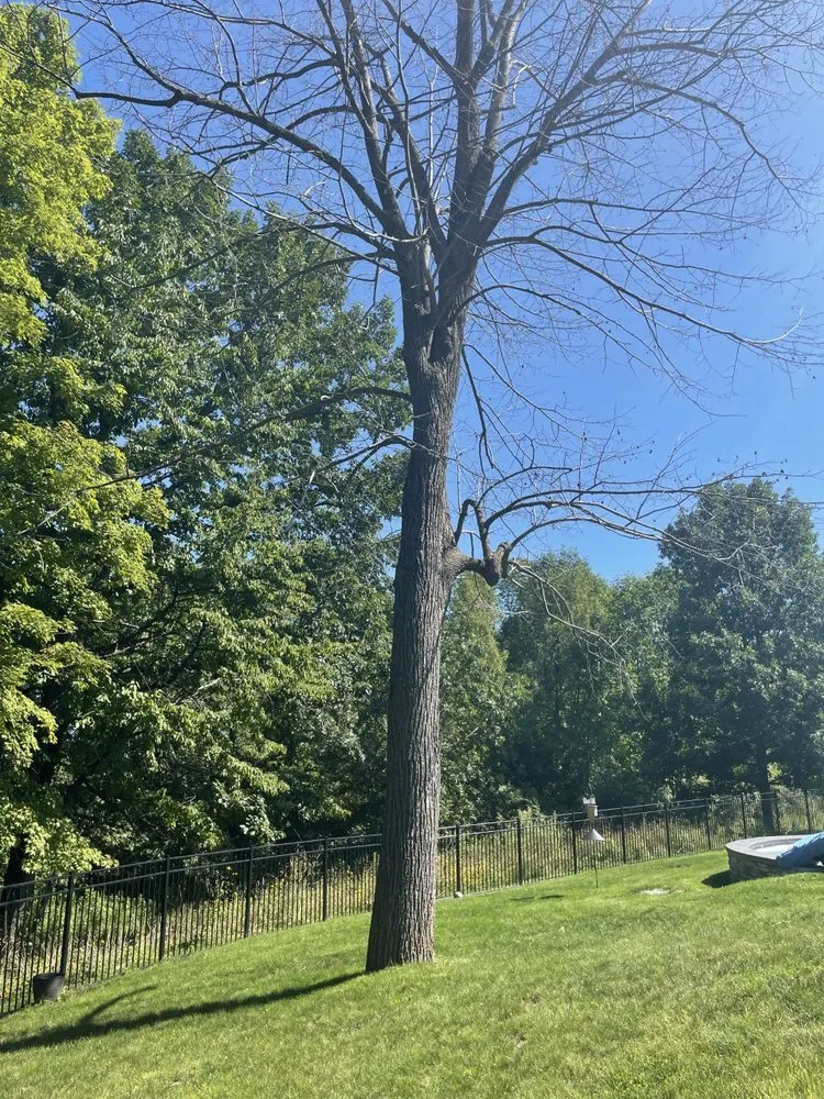 Reliable outdoor landscaping for residential properties in Honeoye Falls, NY by Cook Outdoor Contracting