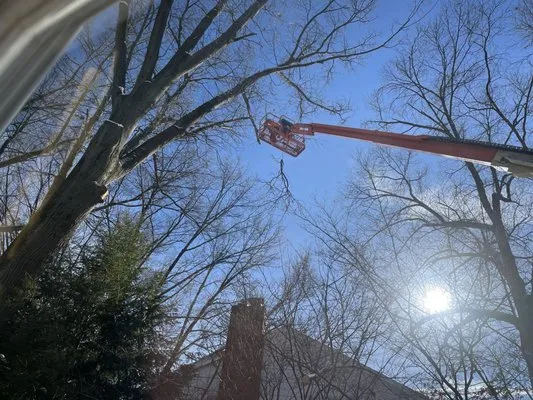 Cook Outdoor Contracting