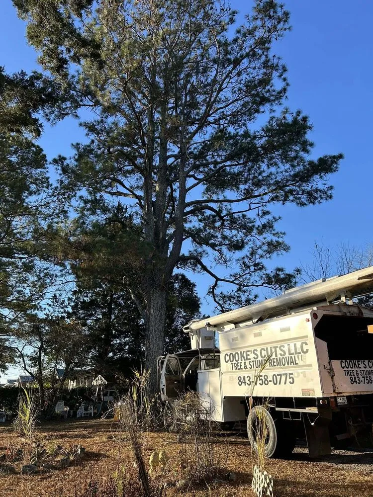 Local landscape installation in Quinby, SC by Cookes Cuts