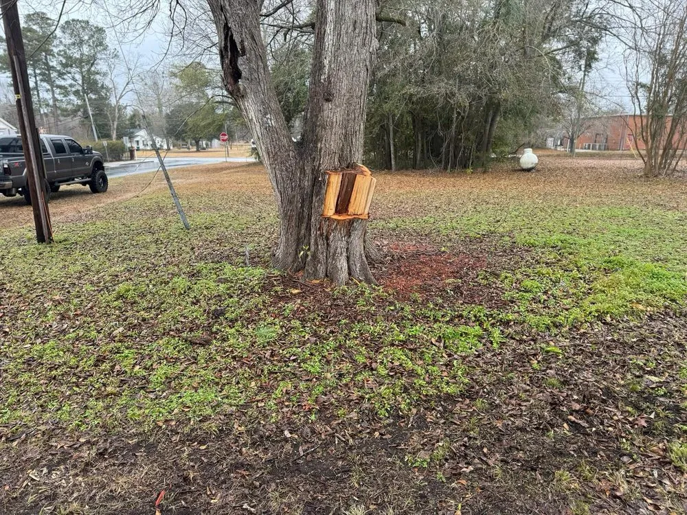 Professional landscape design for residential properties in Quinby, SC by Cookes Cuts
