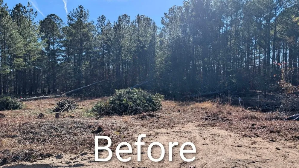 Affordable landscaping services experts serving Quinby, SC - Cookes Cuts