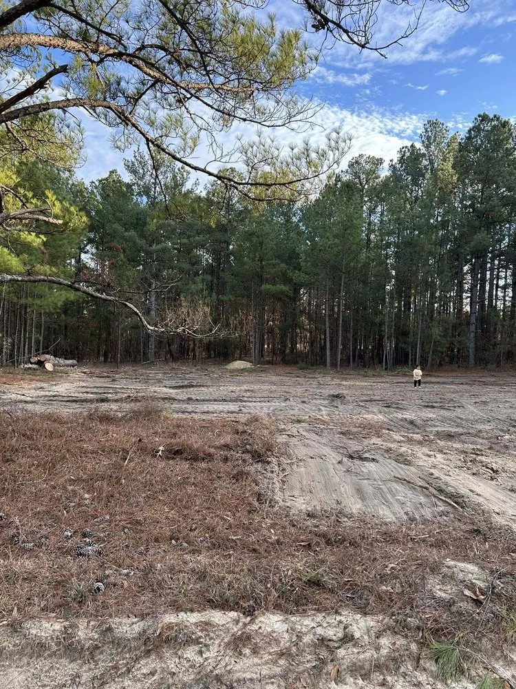Expert landscaping services in Quinby, SC by Cookes Cuts