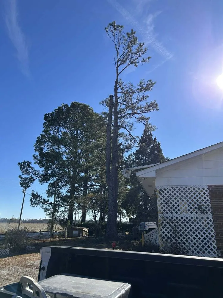Professional yard maintenance in Quinby, SC - Cookes Cuts