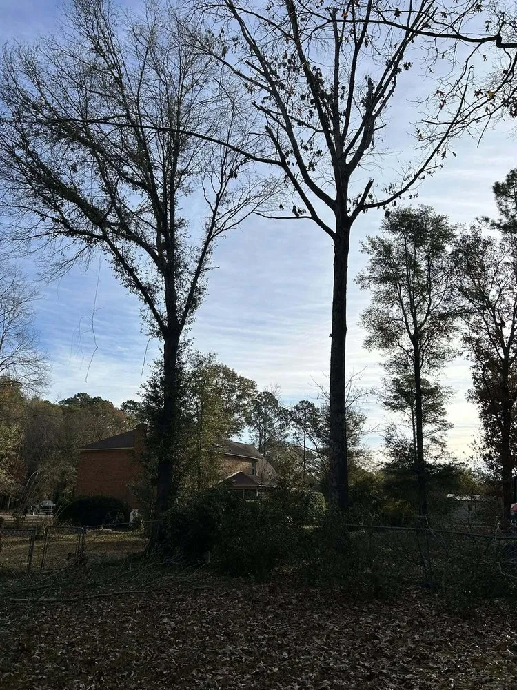 Trusted lawn care service experts serving Quinby, SC - Cookes Cuts