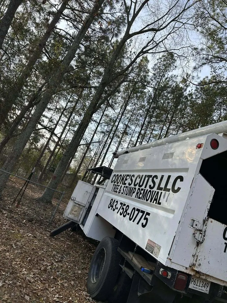 Professional yard maintenance experts serving Quinby, SC - Cookes Cuts