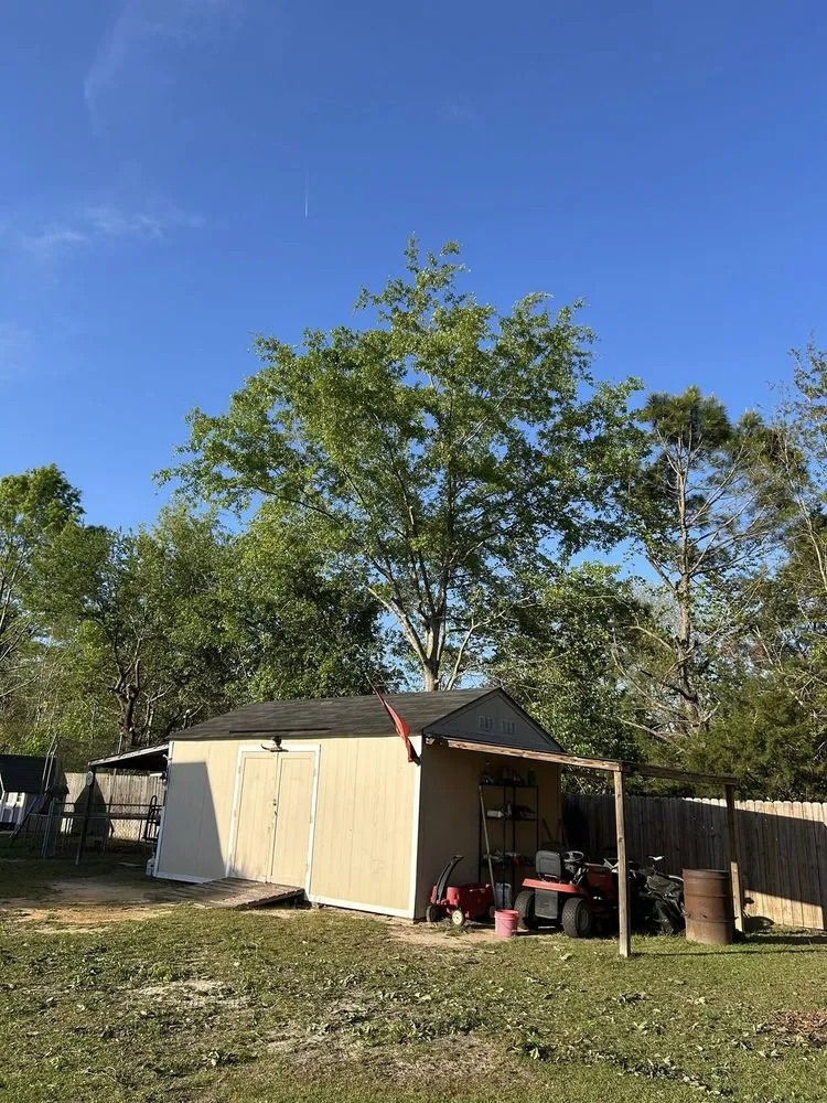 Custom landscaping services near you in Quinby, SC by Cookes Cuts