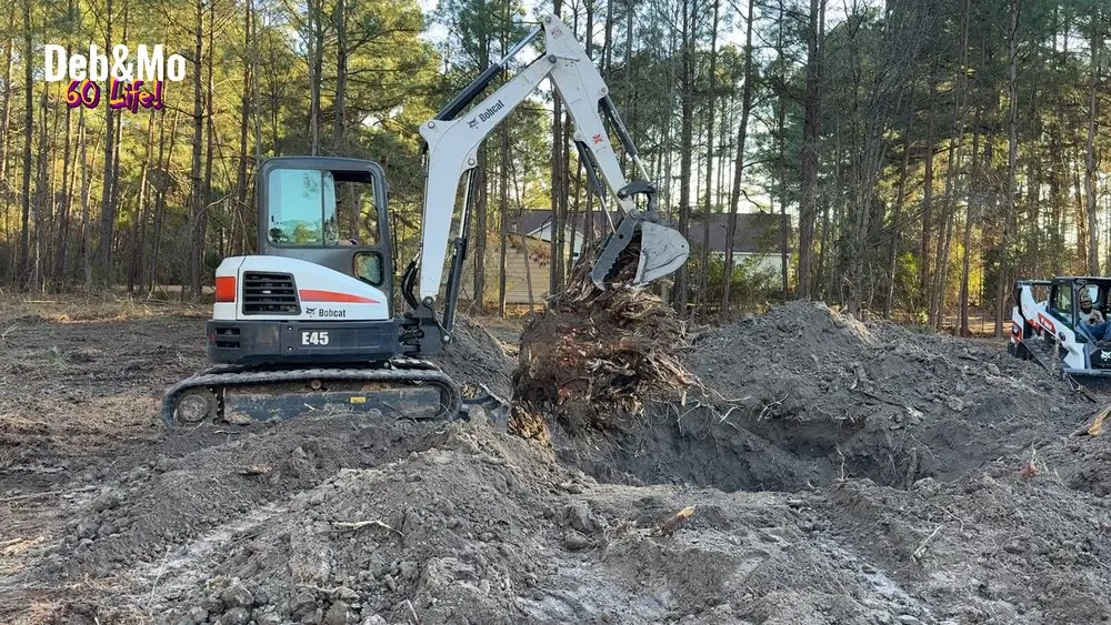 Top-rated landscape design for year-round maintenance across Rocky Mount, NC - Cooks Clearing & Landscape