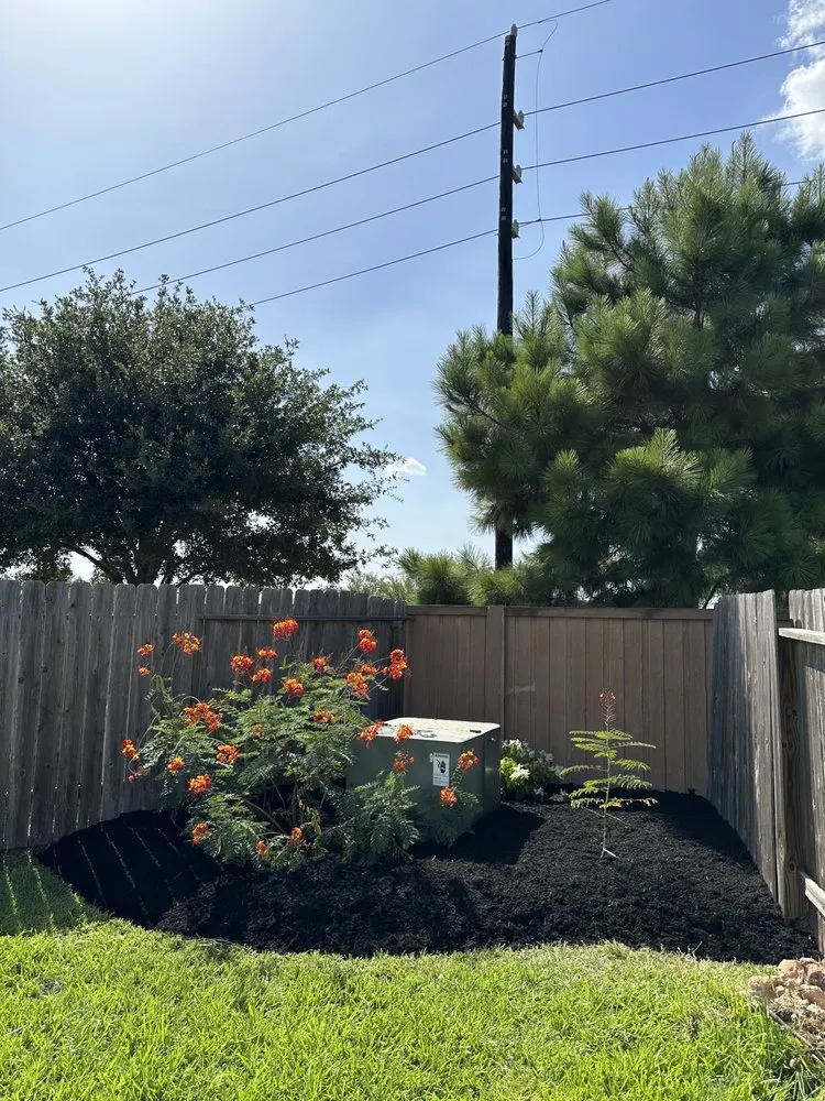 Affordable landscaping services experts serving Katy, TX - Cook’s Cuts