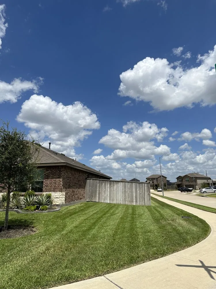 Expert yard cleanup service in Katy, TX - Cook’s Cuts