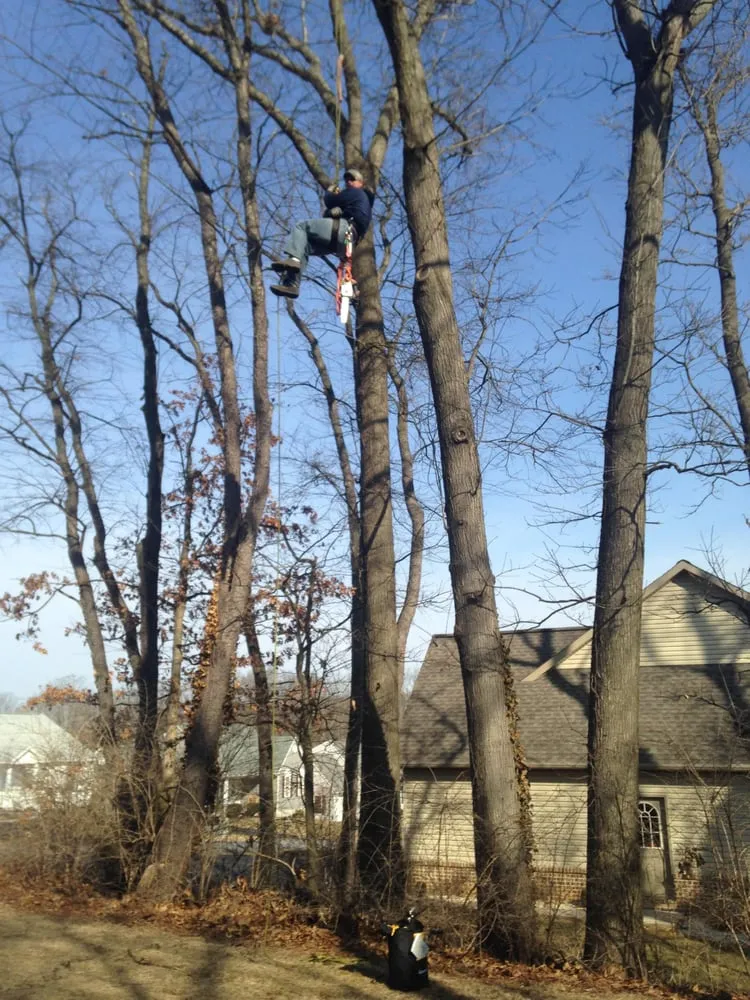 Affordable garden landscaping experts serving Winfield, PA - Cook's Horticulture & Landscape Services