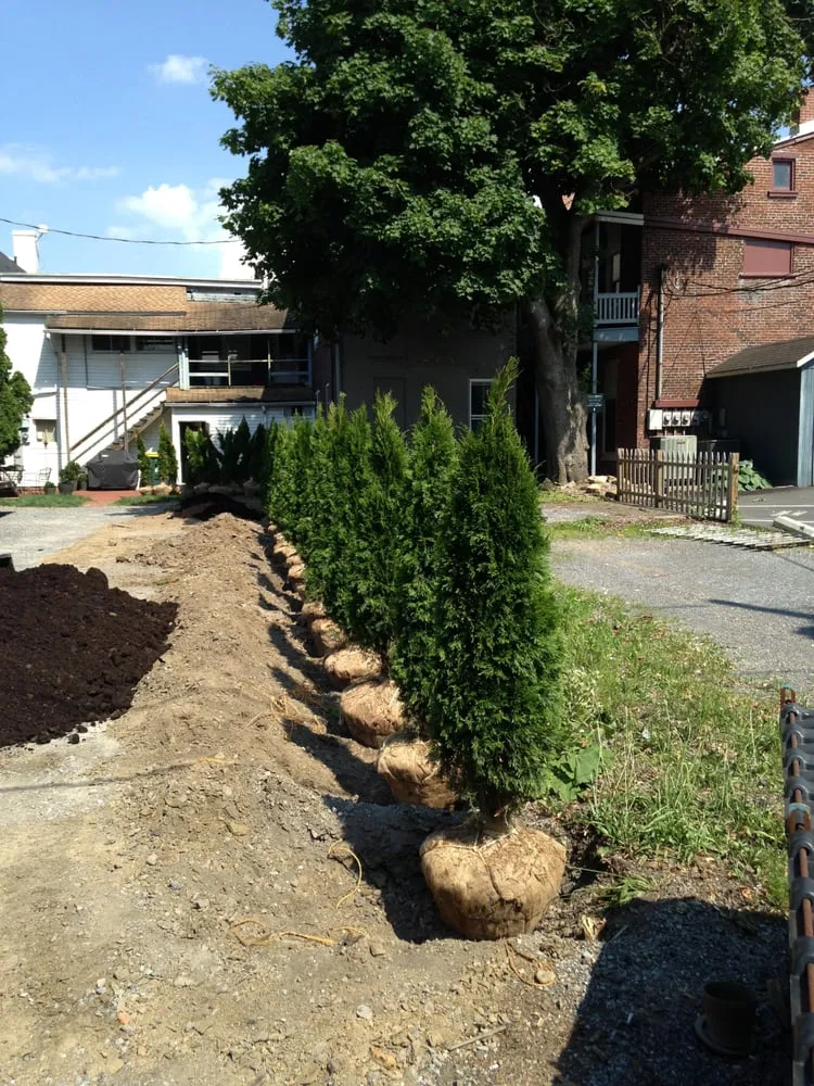 Trusted landscape installation for year-round maintenance in Winfield, PA by Cook's Horticulture & Landscape Services