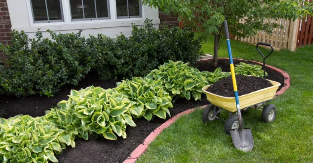 Custom landscape installation near you across Forest Hill, MD - cooks landscaping