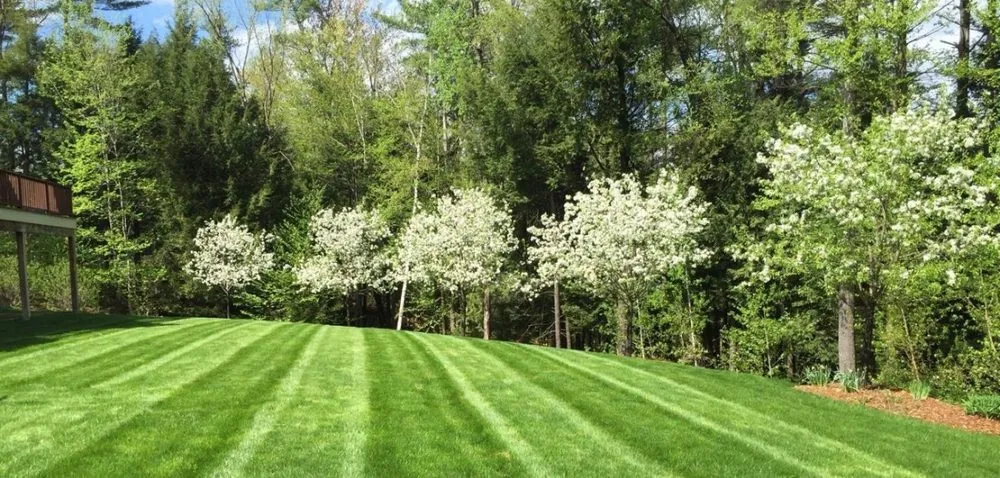 Custom residential landscaping in Forest Hill, MD by cooks landscaping
