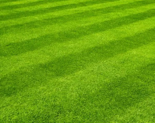 cooks landscaping Logo