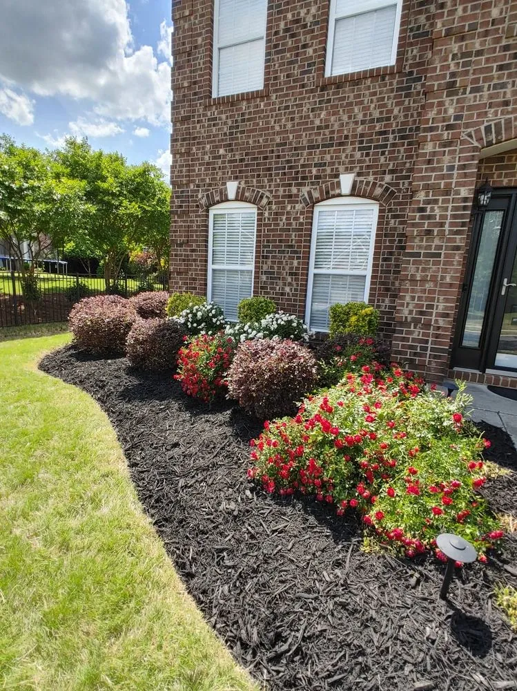 Custom residential landscaping for year-round maintenance across Harrisburg, NC - Cook's Lawn & Landscape