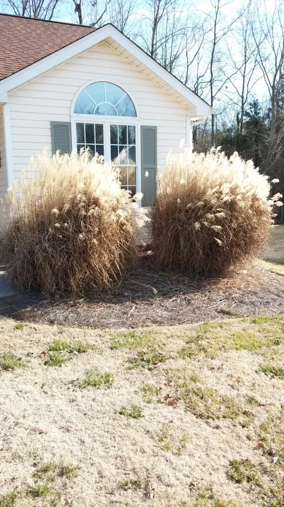 Reliable landscaping services in Harrisburg, NC by Cook's Lawn & Landscape