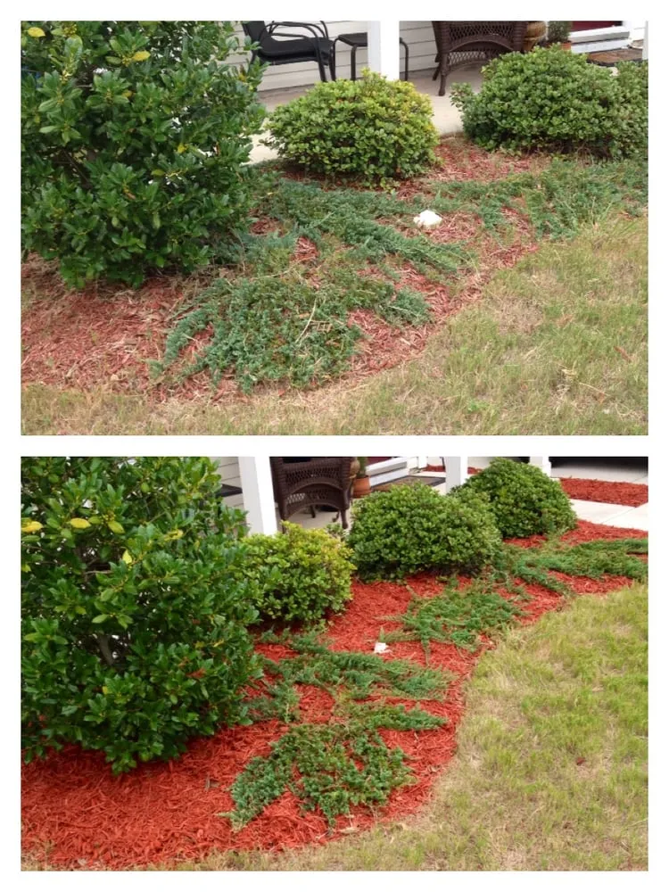 Affordable lawn mowing service in Harrisburg, NC by Cook's Lawn & Landscape