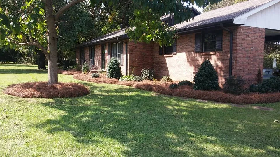 Trusted yard cleanup service for homes across Harrisburg, NC - Cook's Lawn & Landscape