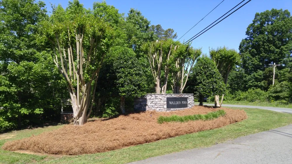 Expert landscaping services experts serving Harrisburg, NC - Cook's Lawn & Landscape