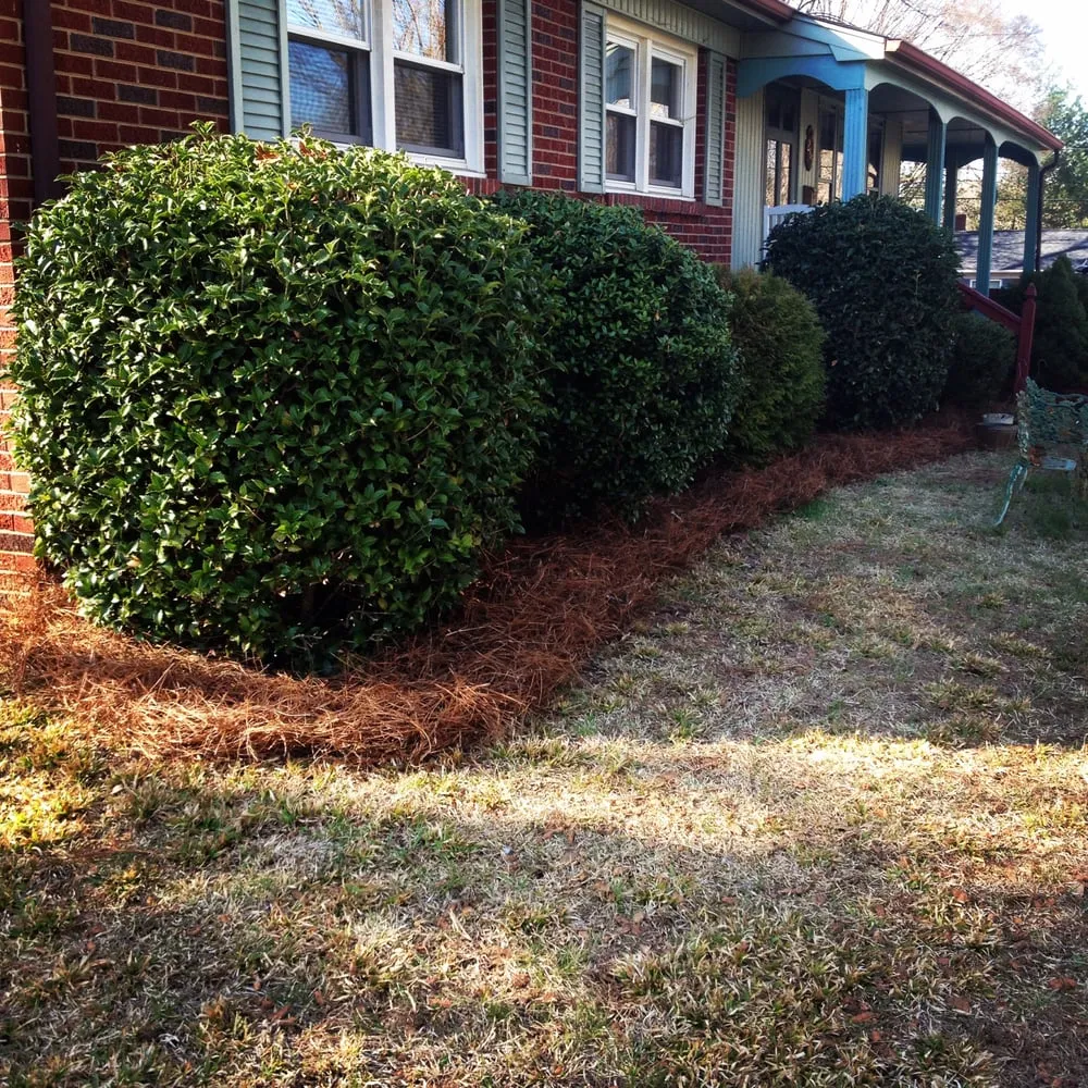 Affordable outdoor landscaping with custom design in Harrisburg, NC by Cook's Lawn & Landscape