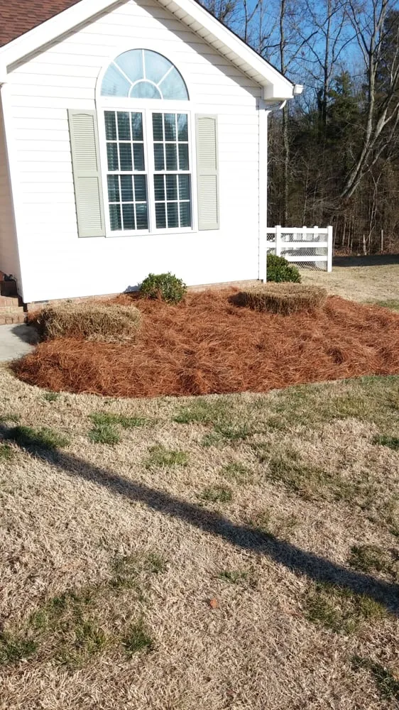Expert outdoor landscaping in Harrisburg, NC - Cook's Lawn & Landscape