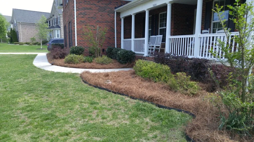 Top-rated yard cleanup service in Harrisburg, NC by Cook's Lawn & Landscape