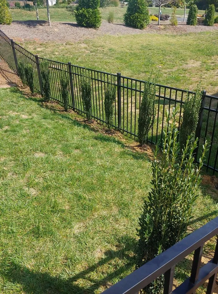 Custom residential landscaping for outdoor upgrades in Harrisburg, NC by Cook's Lawn & Landscape