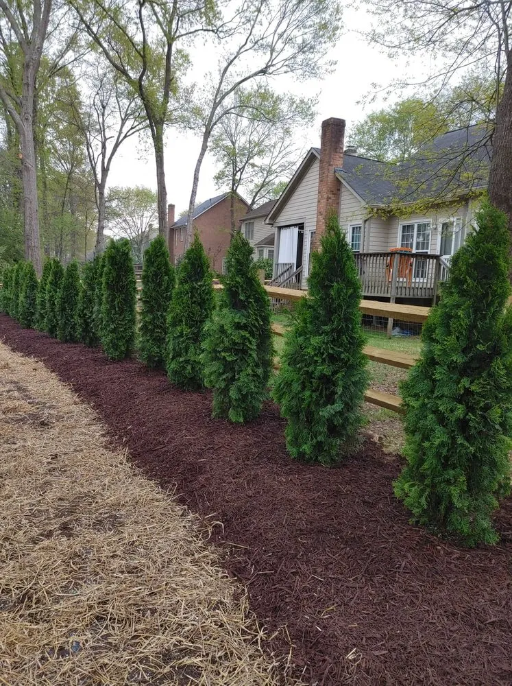 Affordable garden landscaping for residential properties in Harrisburg, NC by Cook's Lawn & Landscape
