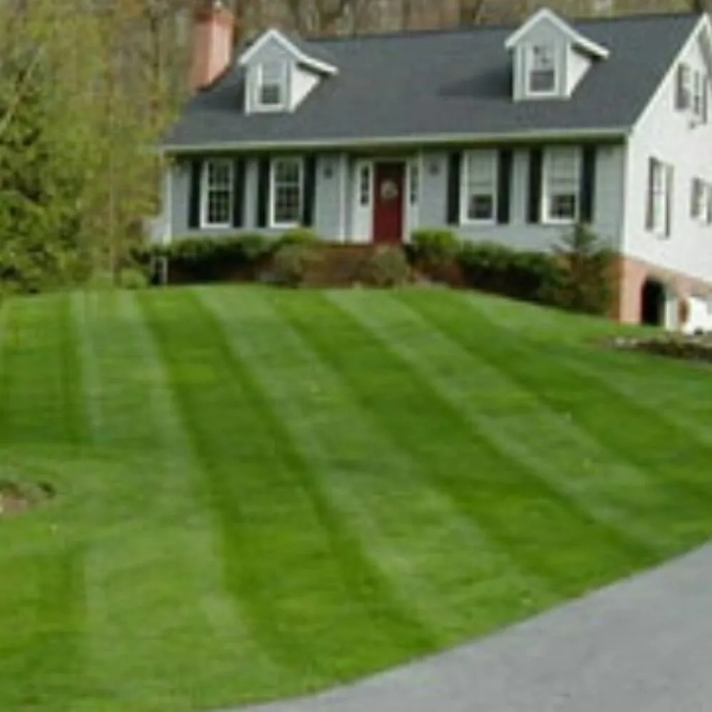 Local landscape installation experts serving Barboursville, VA - Cooks Lawn Care