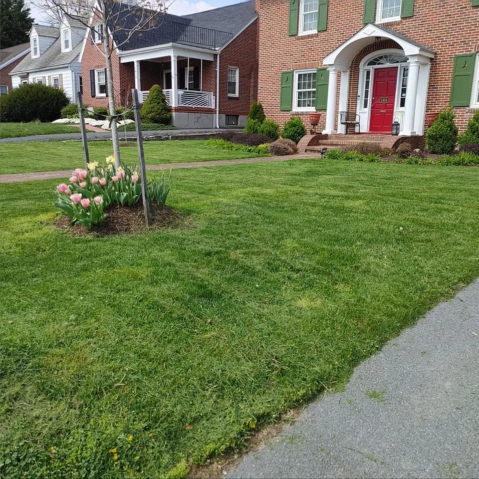 Reliable yard cleanup service for beautiful yards across Martinsburg, WV - Cook's Lawn Care Plus