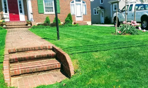 Cook's Lawn Care Plus