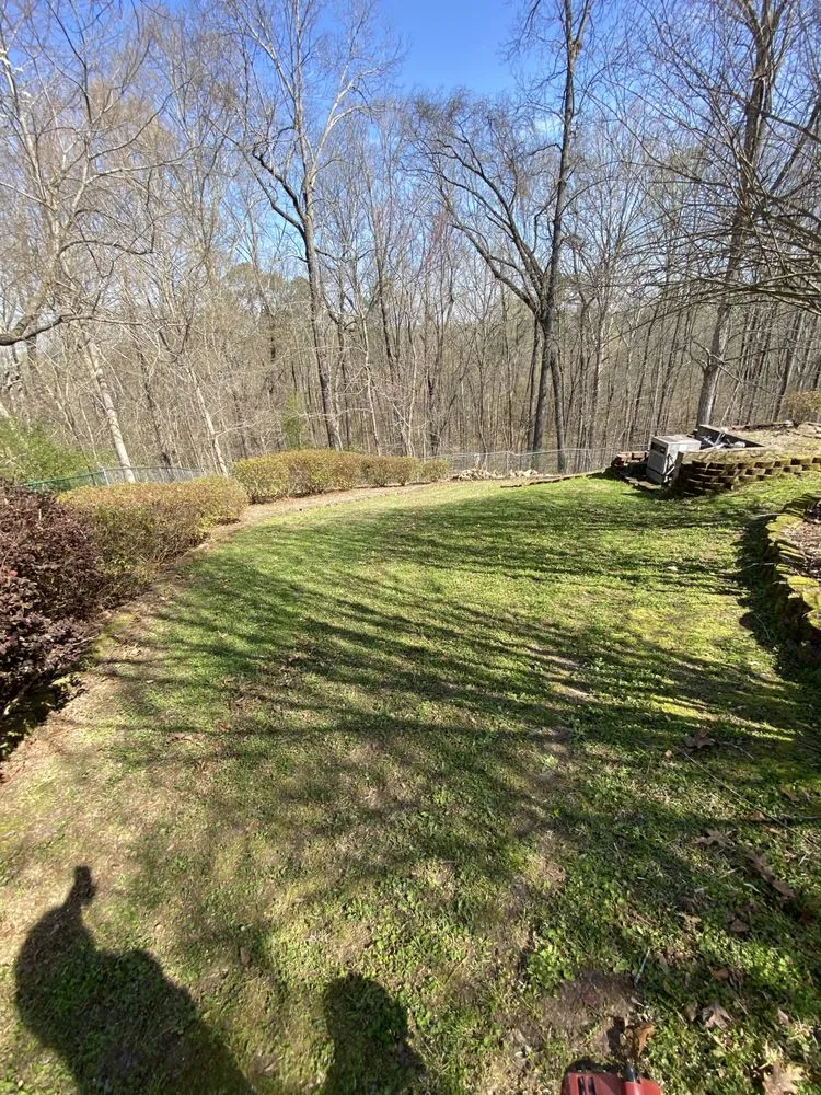 Custom yard maintenance experts serving Talladega, AL - Cook’s Lawn Care