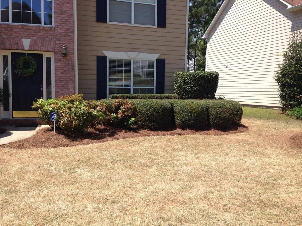 Professional landscape installation for outdoor upgrades across Valdosta, GA - Cooks lawn service