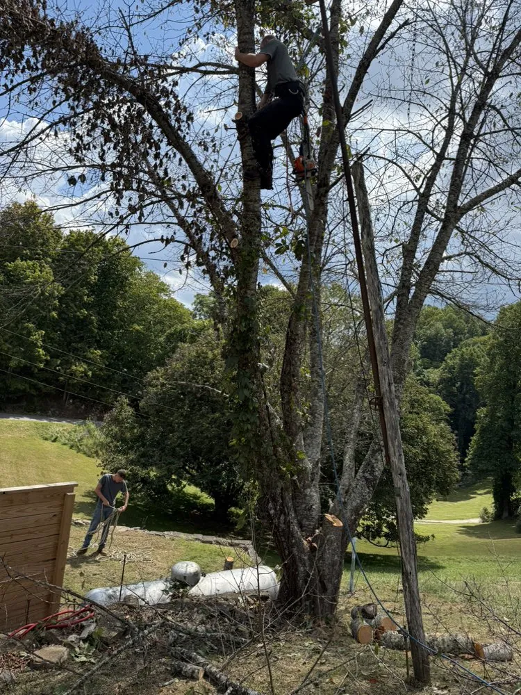 Professional landscape installation in Brenton, WV by Cooks Lawncare