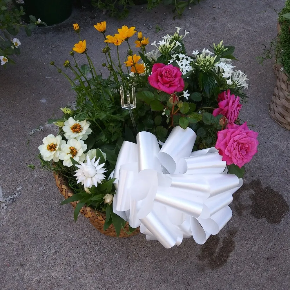 Custom outdoor landscaping with custom design in Nederland, TX by Cook's Nursery Nederland